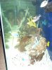 100_1436.jpg
