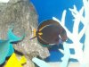 100_1591.jpg