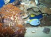 100_1511.jpg
