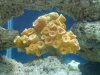 20101205_020.jpg