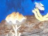 100_1084.jpg