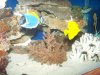 100_1617.jpg