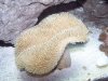100_1409.jpg