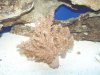100_1427.jpg