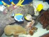 100_1616.jpg