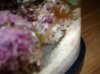reef tank 004.jpg