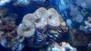 2010-12-11_15-00-41_984.jpg