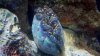 2010-12-11_15-01-11_539.jpg