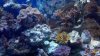 2010-12-11_15-01-50_799.jpg