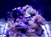 IMG_20101216_195833.jpg