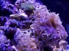 IMG_20101216_195945.jpg