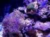 IMG_20101216_200012.jpg