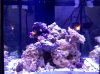 IMG_20101216_195826.jpg