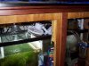 100_2486.jpg