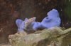 DSC_07172.jpg