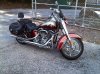 IMG00176-20101112-1249.jpg