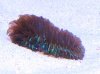 IMG_1036.JPG