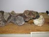 IMG_1047.JPG
