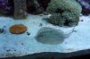 bubble plate and ray.jpg