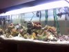 my tank 4.14.2007.jpg