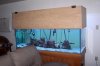 180 with first fish.JPG