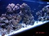 both tangs back side.jpg