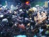100_0461.jpg