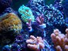 100_0490.jpg