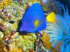 100_0503.jpg