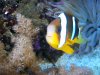 100_0504.JPG