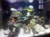 IMG_20110103_225704.jpg