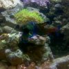 IMG_20110104_224703-1.jpg