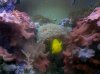 2010-12-20_16-57-09_45.jpg