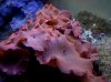 2010-12-20_16-57-33_248.jpg