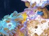 IMG_1059.jpg