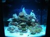 DSCF0723.jpg
