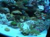 DSCF0718.jpg
