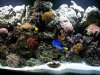 100_0170.JPG