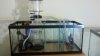 sump with protein skimmer and return pump.jpg