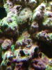 2011-01-02 18.28.22.jpg