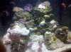 IMG_20110111_205110.jpg