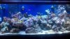 2011-01-14_11-12-18_470.jpg