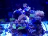 IMG_20110114_195013.jpg