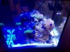 IMG_20110103_164246.jpg