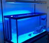 Fish Tank with Lights.jpg
