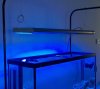 Fish Tank with Lights 2.jpg