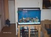 45g tall Tank Build 002.jpg