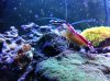 photo (12).jpg