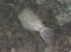 wwm%20img.jpg