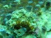 DSCN0533.jpg